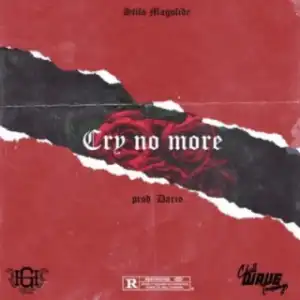 Stilo Magolide - Cry No More
